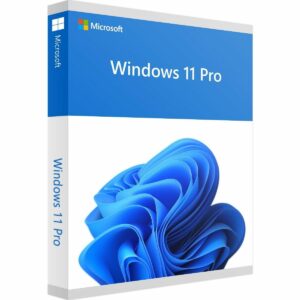Microsoft Windows 11 PRO 64B 1PK SPANISH
